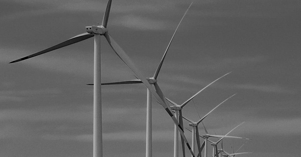 Austria își intensifică interesul pentru investiții în România, inclusiv în energii regenerabile