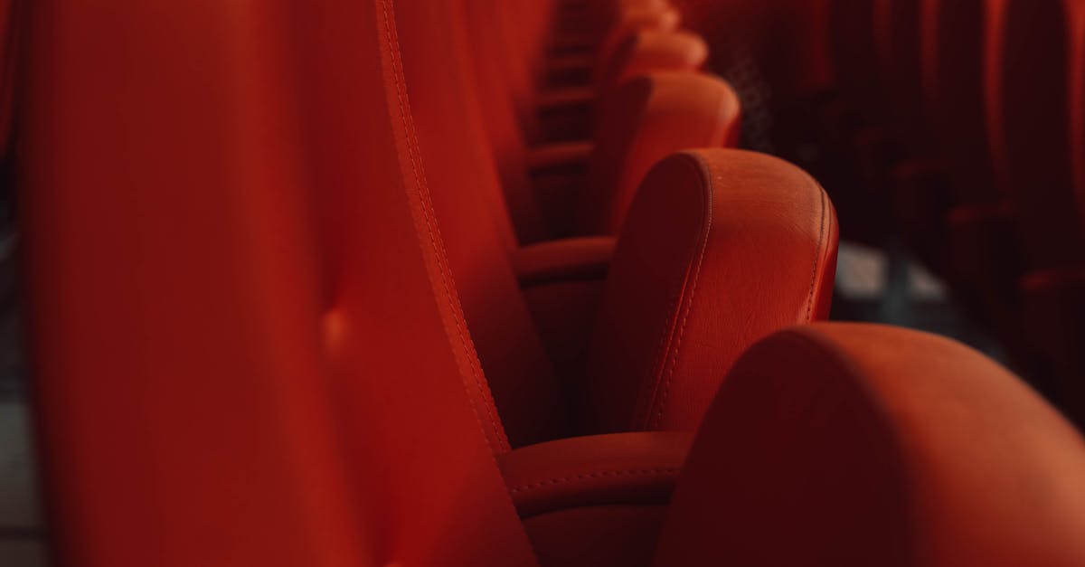 Descoperă evenimentele captivante din Timișoara pe 26 iulie 2025