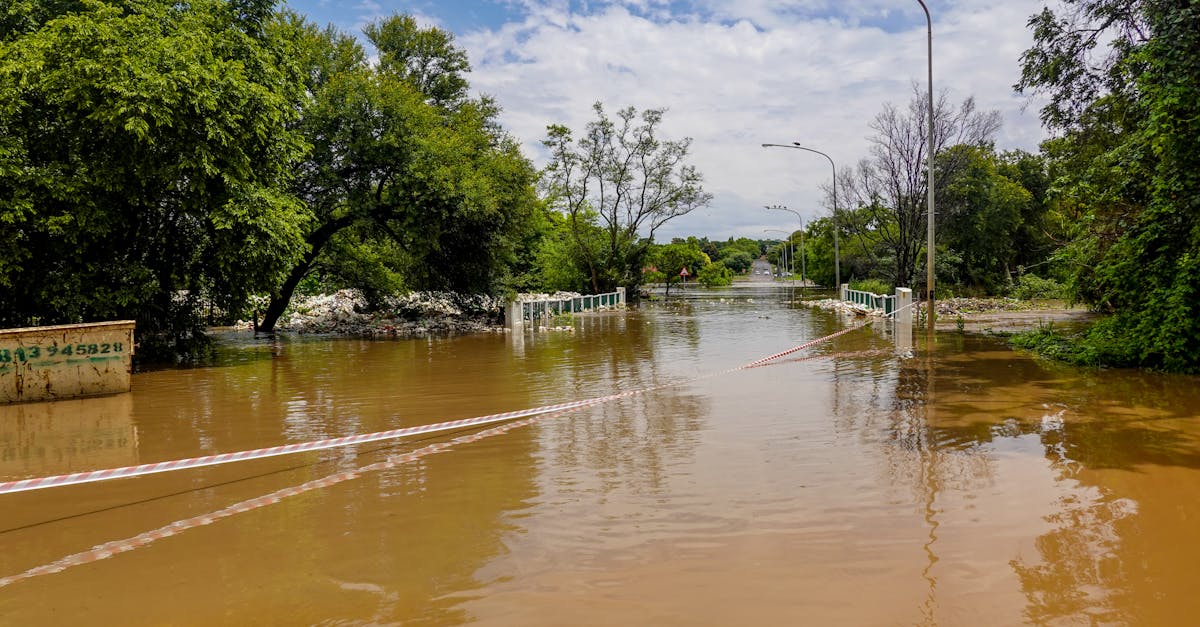 Botoșani sub asediul vremii: intervenții urgente din cauza fenomenele meteo extreme