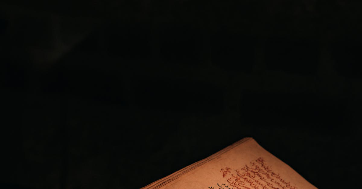 Codexul Voynich: misterul unei cărți medievale neelucidate
