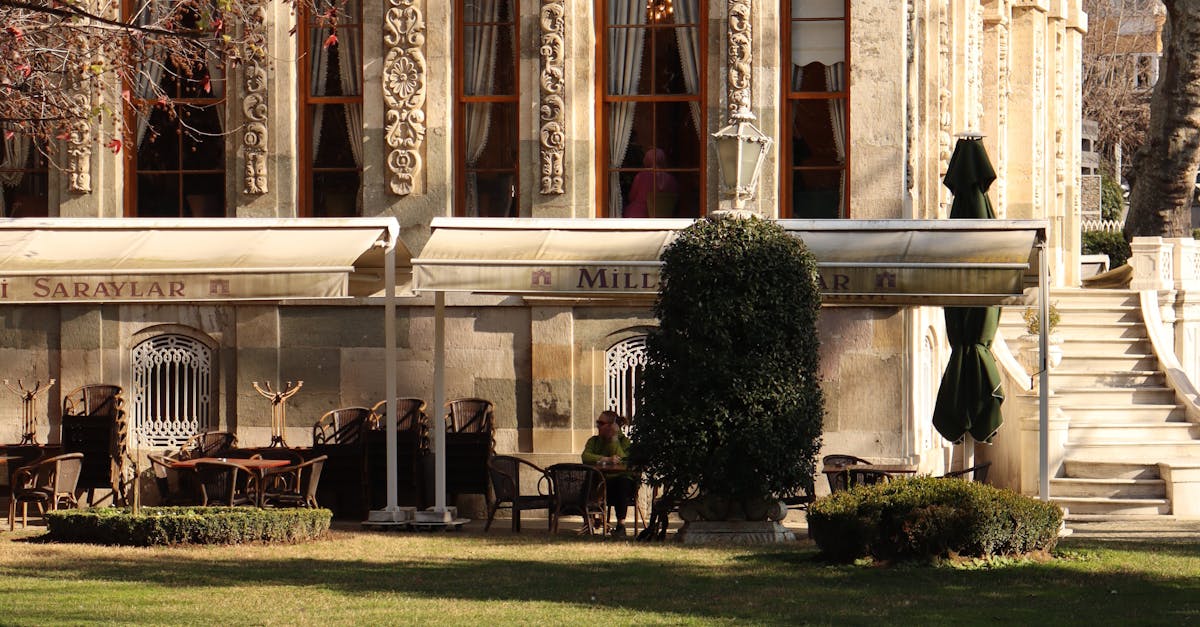 Bugetul pentru grădina urbană Nufărul crește cu 2,2 milioane lei