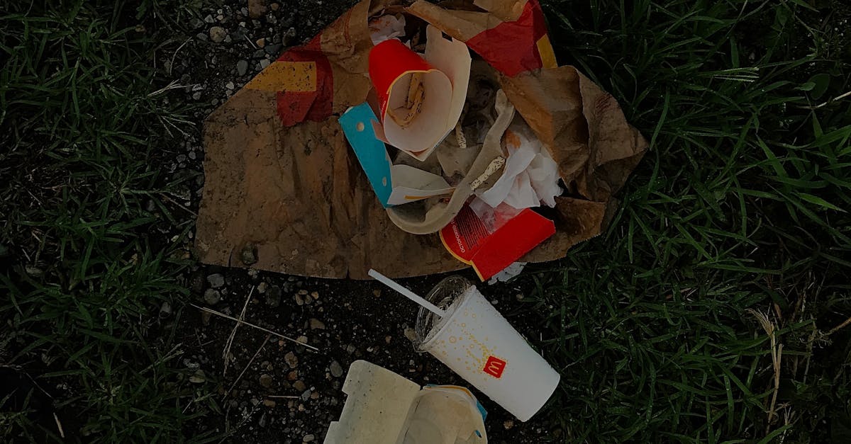Parcul Sub Arini din Sibiu va fi revitalizat cu o investiție de peste 50 de milioane de lei