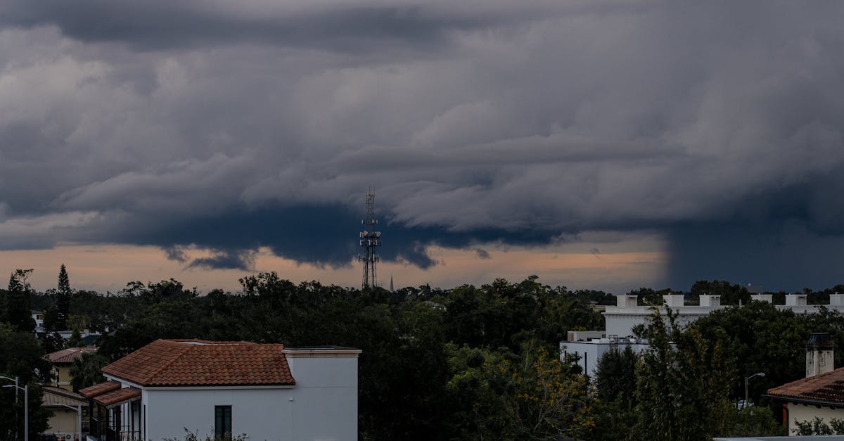 Avertizări meteo: vijelii severe așteptate în Bistrița Năsăud