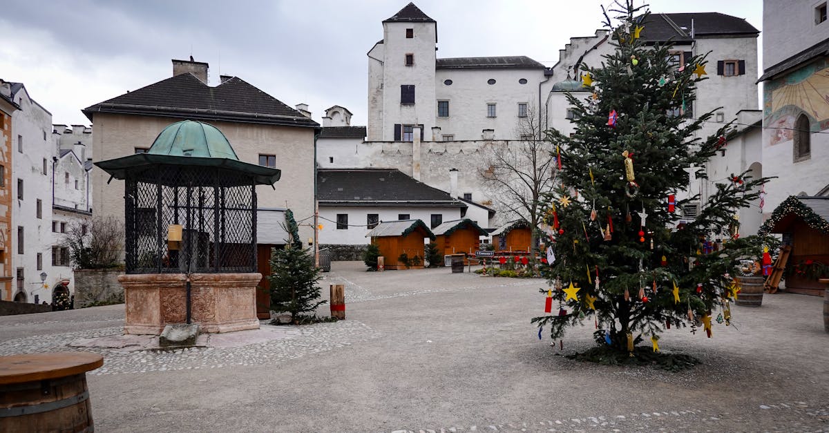 Nicușor Dan, întâmpinat cu entuziasm de românii din Salzburg la festivalul cultural