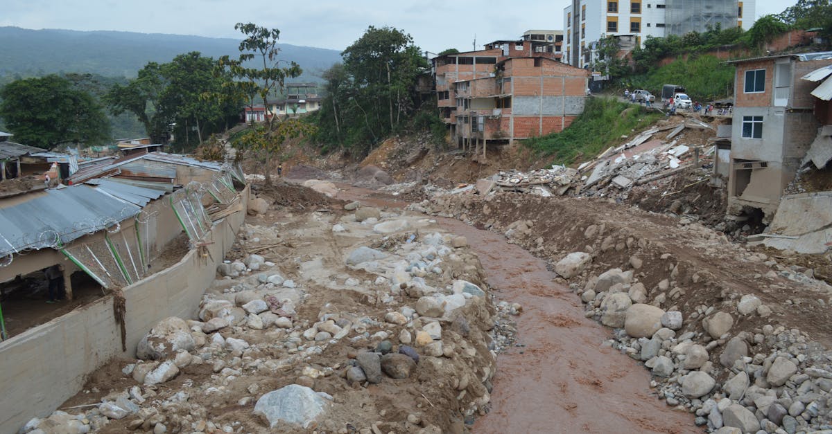 Cisnădioara sub ape: Impactul devastator al viiturilor recente