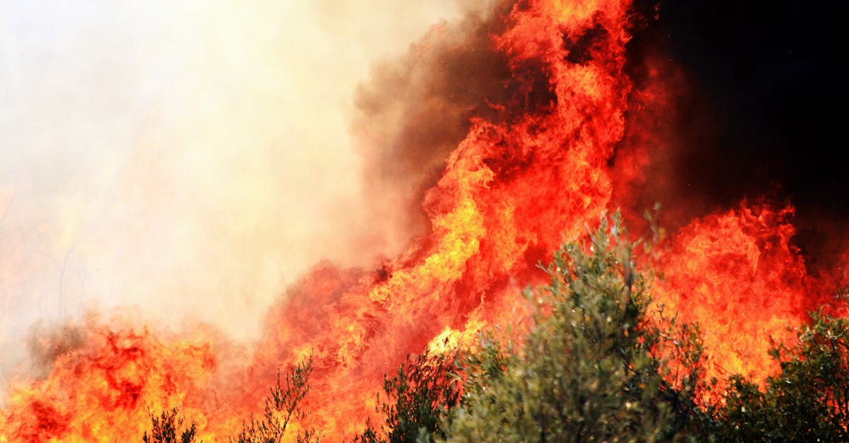 Incendii devastatoare în sudul Turciei și Grecia: temperaturi record amenință vieți