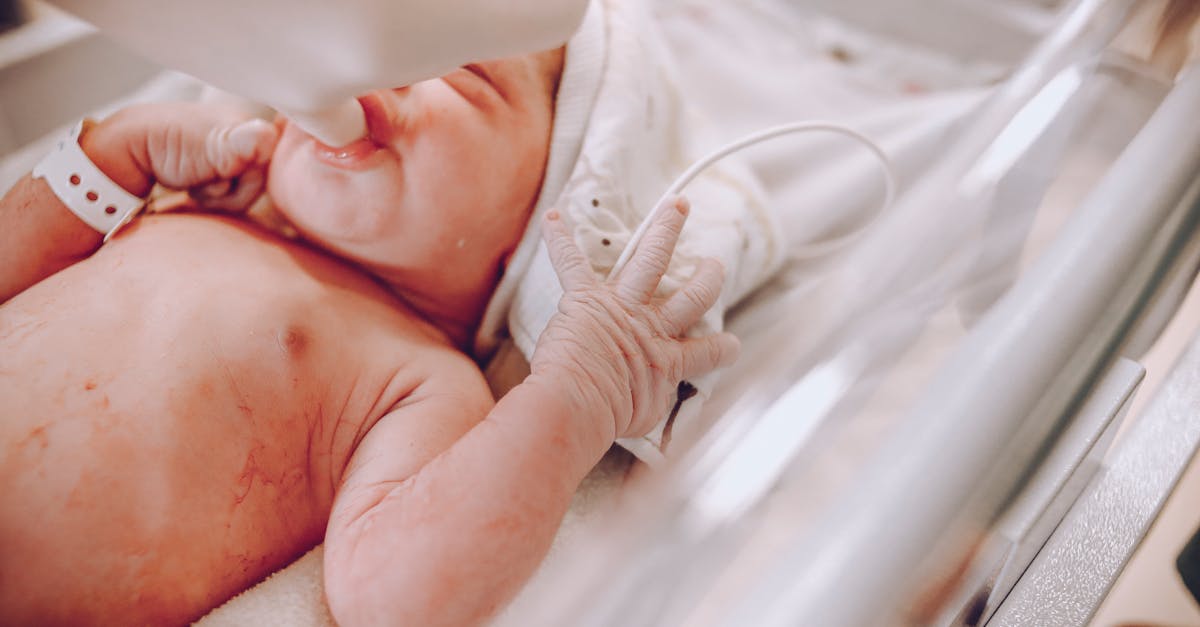 Licitația pentru modernizarea ambulatoriului de pediatrie Bega revine în atenție