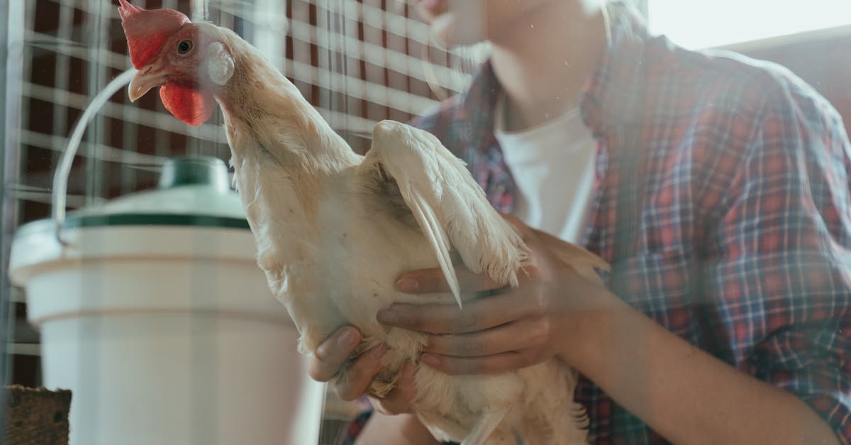 Descoperă povestea impresionantă a Daianei Cotu, tânăra fermieră și viitor medic veterinar