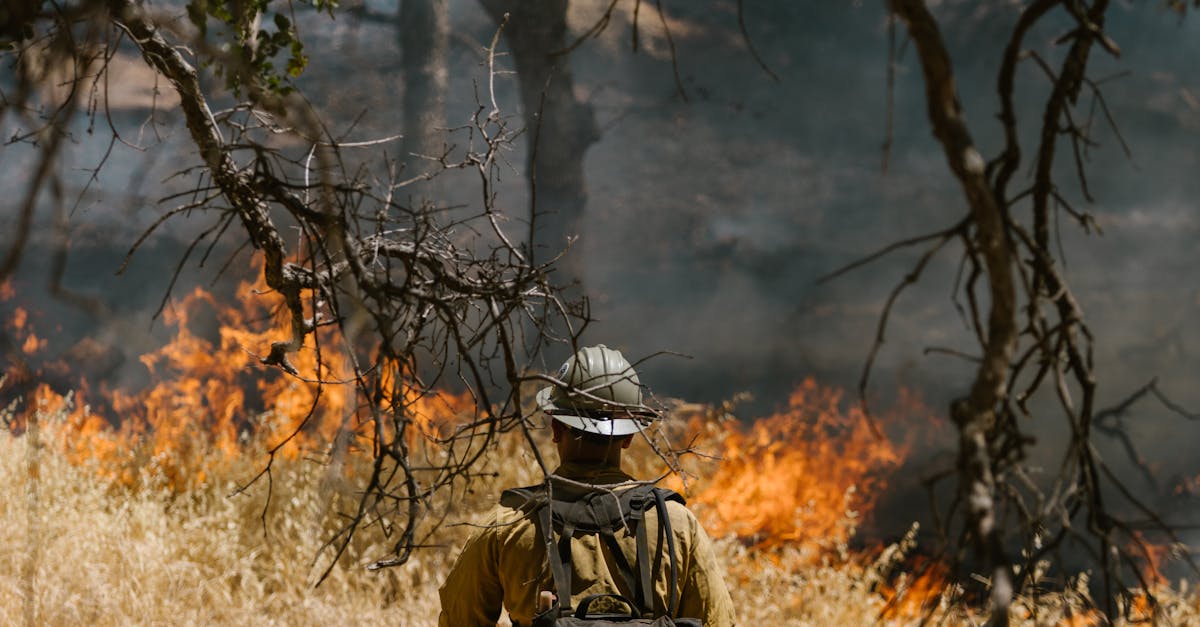 Grecia se confruntă cu incendii devastatoare, iar guvernul solicită ajutor din partea Uniunii Europene