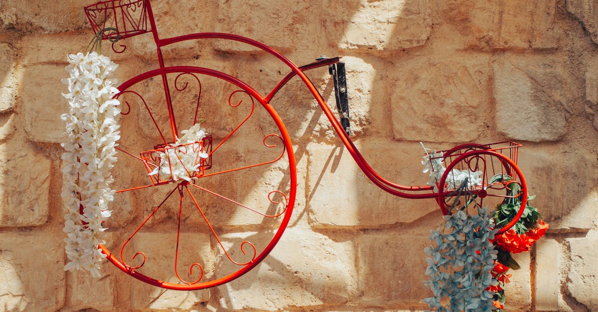 Descoperă frumusețea rurală a Vasluiului: tur gastronomic pe bicicletă