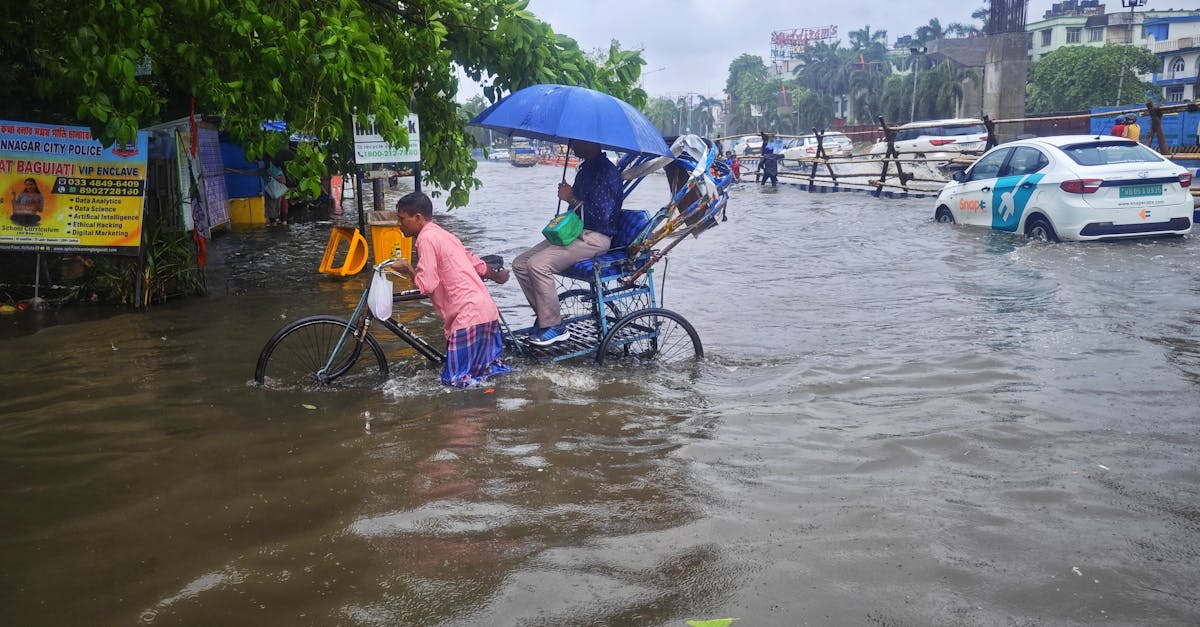 Botoșani sub avertizare meteo: Cod portocaliu de ploi și vijelii severe