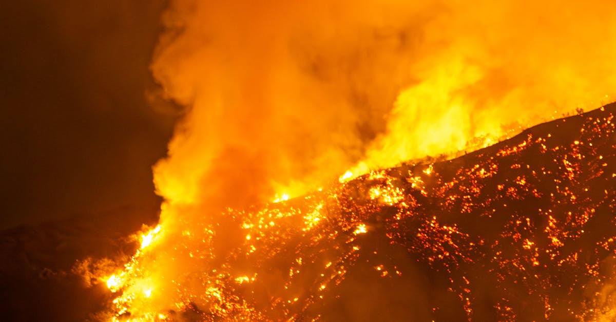 Incendiile devastatoare din Turcia și Grecia: peste 1.000 de focare în ultimele săptămâni
