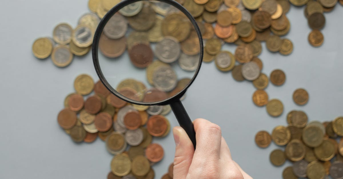 Percheziții ample în Argeș pentru o evaziune fiscală de milioane