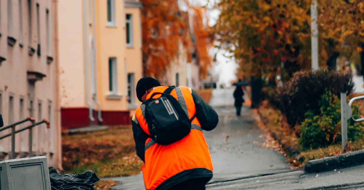 Oradea continuă toaletarea arborilor: ce zone vor fi afectate
