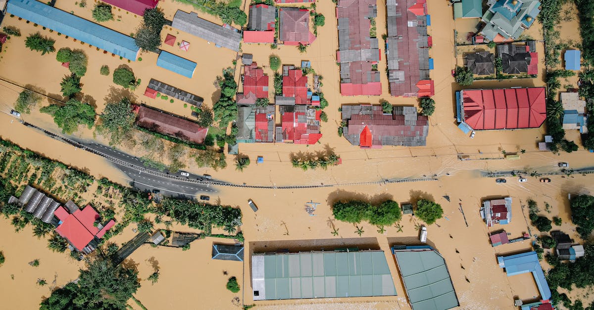Inundații devastatoare în Neamț: sute de locuitori evacuați din trei comune