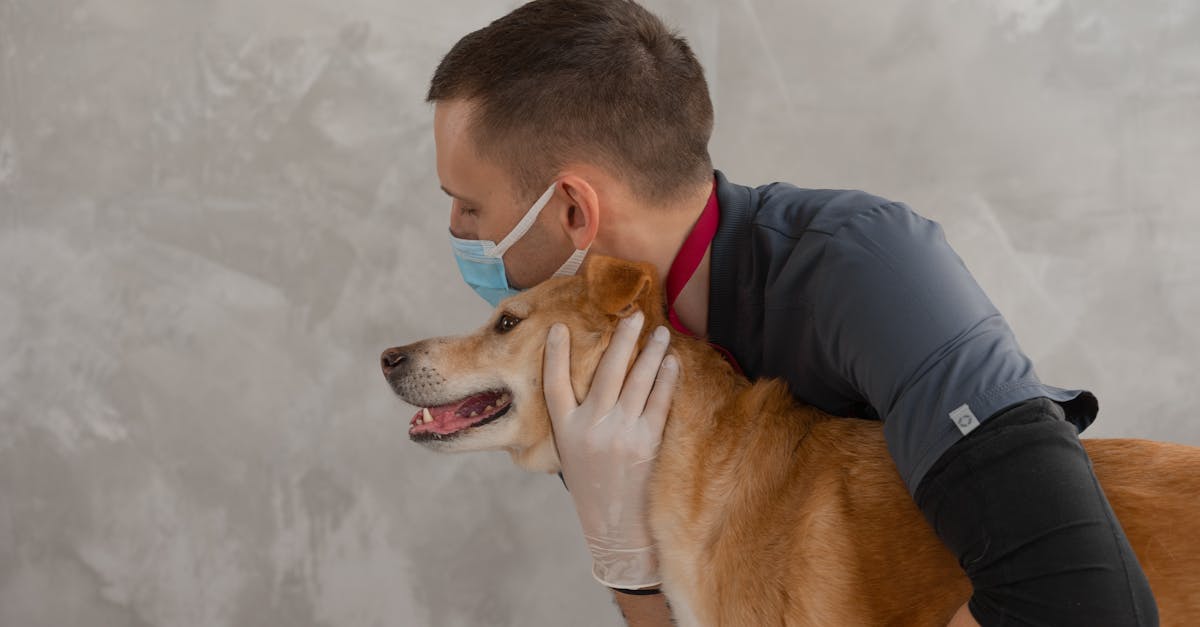 Tragedie în comunitatea medical-veterinară: O doctorandă din Iași pierde lupta cu viața