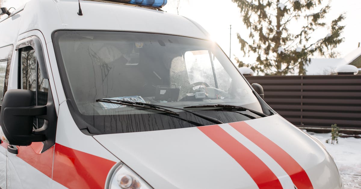Copac căzut în Iași afectează două mașini parcate
