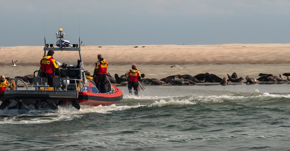 Tragedie pe Dunăre: patru morți într-un accident naval la Sulina
