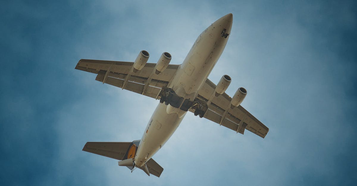 Sfaturi utile de la un pilot pentru pasagerii care se tem de zbor