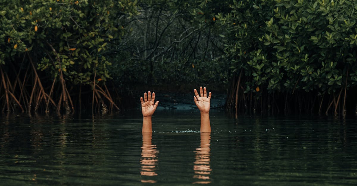 Descoperire tragică pe râul Prut: o persoană înecată în Grozești