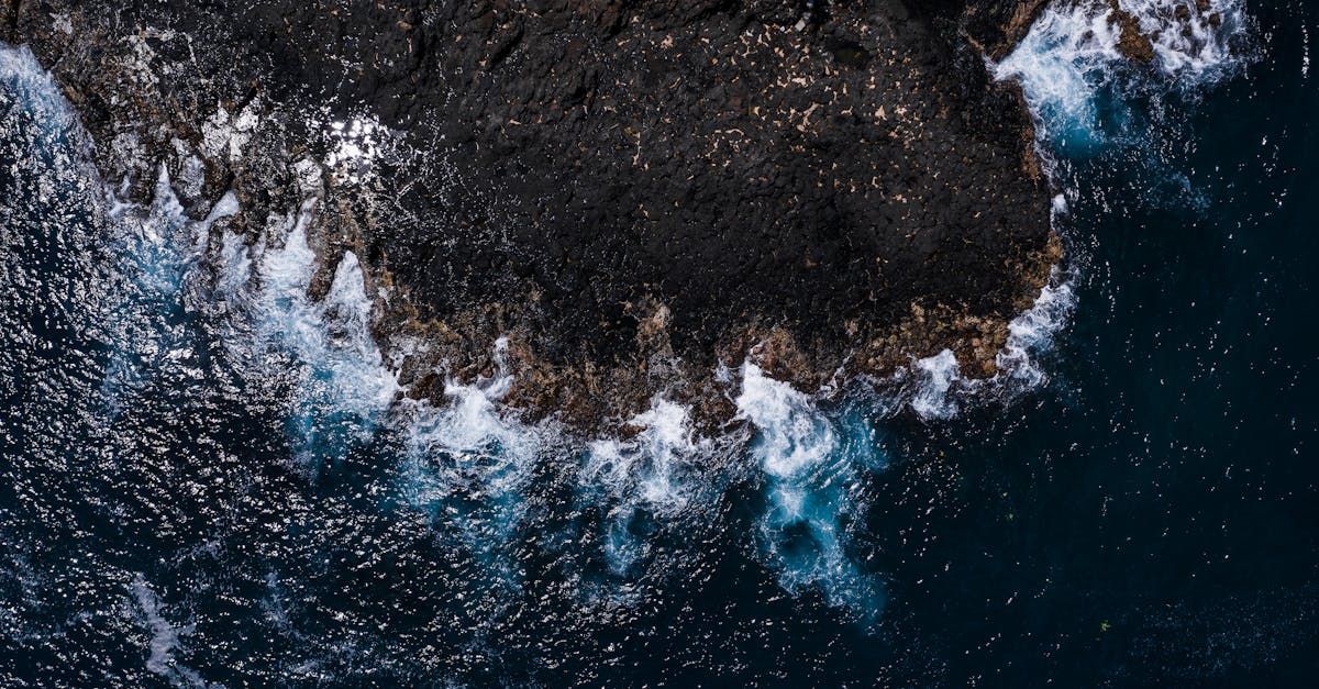 Cutremur devastator de 8,8 pe peninsula Kamchatka, cu avertizări de tsunami în Pacific
