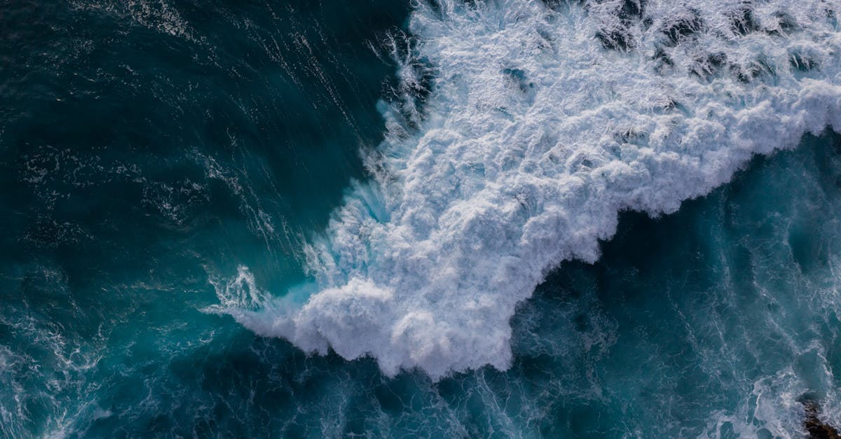 Avertizări de tsunami în Hawaii: Oamenii fug din calea valurilor devastatoare