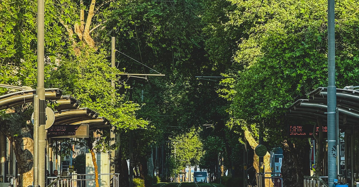 Stația de tramvai din Rogerius devine verde: un nou proiect ecologic în oraș