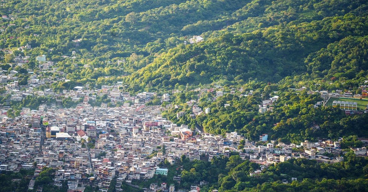 Decizii importante adoptate în ședința Consiliului Local Municipal Buzău din martie 2025