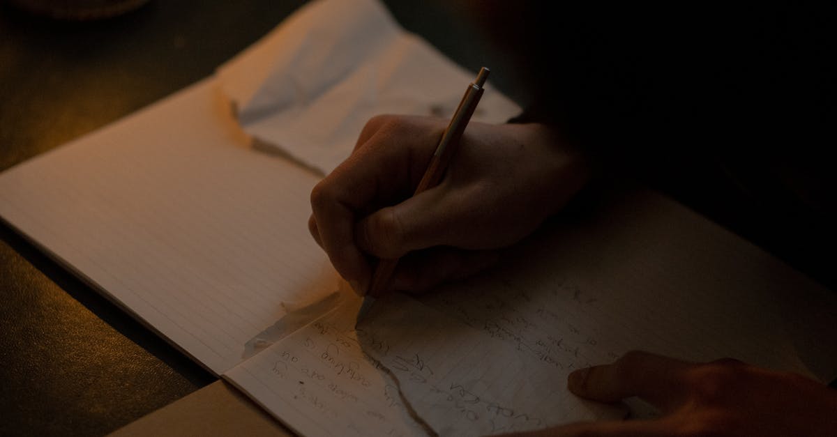 Reflecții ale unui poet: un bilanț al scrisului