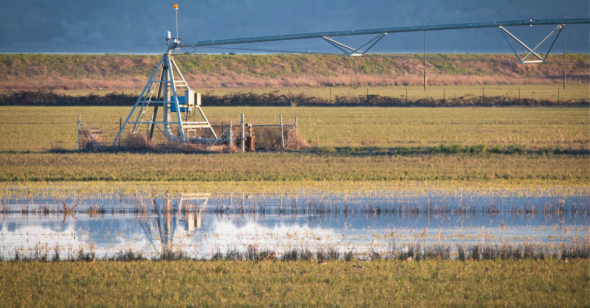 Primarul din Adunații Copăceni solicită soluții pentru irigații în agricultură