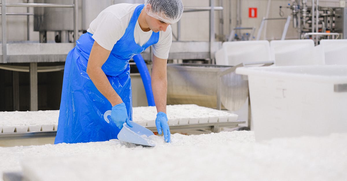 Bonafarm Group preia fabrica FrieslandCampina din Târgu Mureș