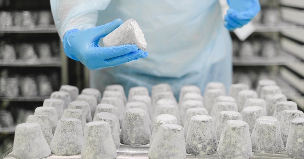 Napolact intră în portofoliul Bonafarm: O nouă etapă pentru industria lactatelor