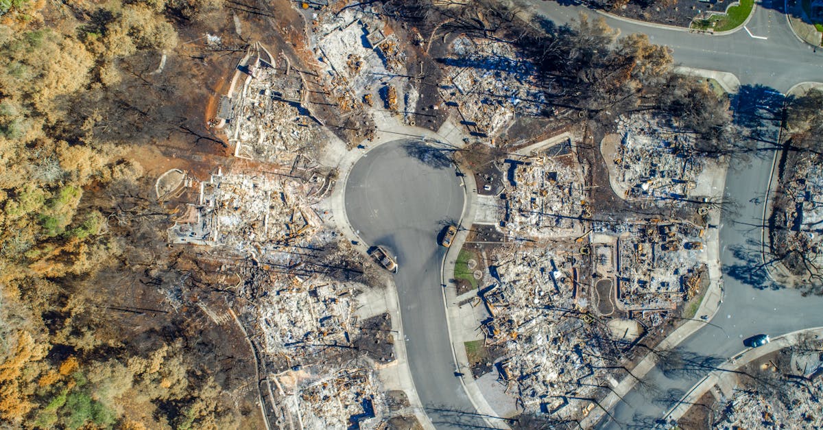 Incendii devastatoare în Portugalia și Spania: mii de pompieri mobilizați pentru a salva comunitățile