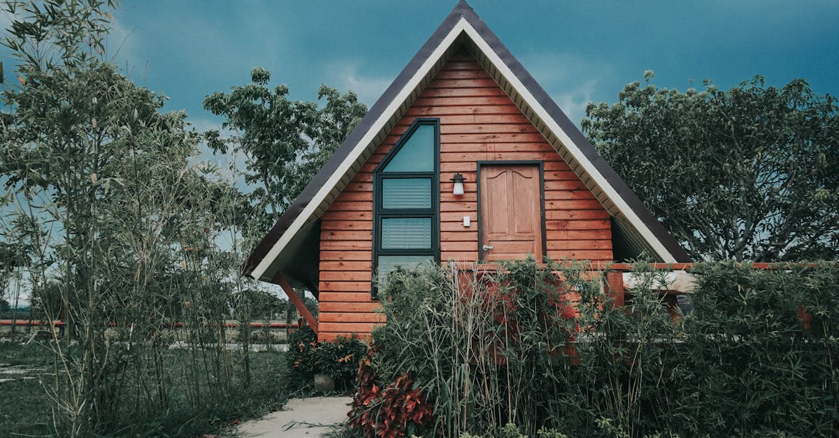 Descoperă tiny house-ul din România: o soluție accesibilă pentru locuințe fără datorii pe termen lung