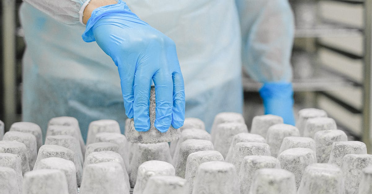 Amendă record pentru nereguli alimentare în Satu Mare: peste 32.000 lei