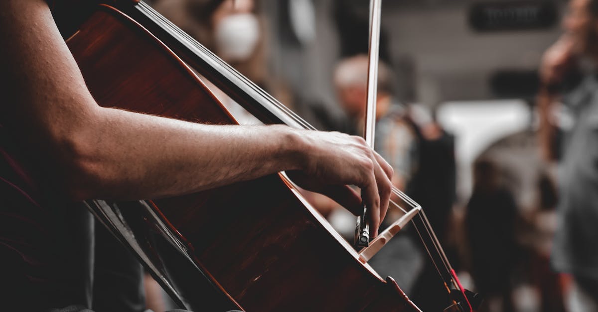 Experiență muzicală unică pe acoperiș: Concertul Cvartetului Avantgarde