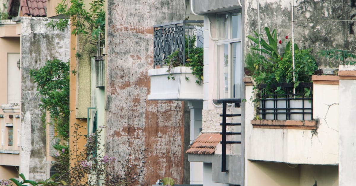 Grădina Urbană Nufărul: un nou spațiu verde modern pentru Oradea