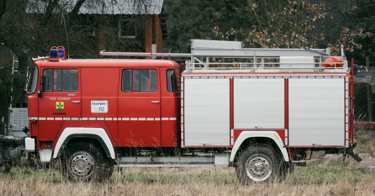 Incendiu de vegetație în Parcul Industrial 1 din Oradea: Pompierii intervin rapid