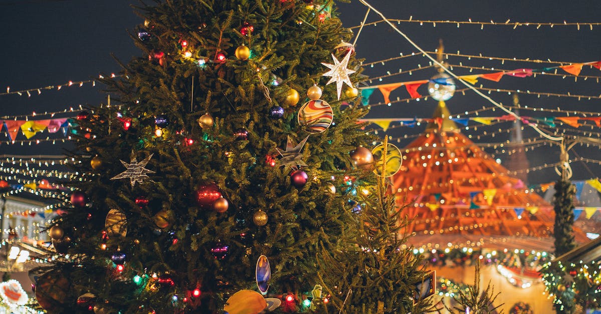 Craiova se pregătește pentru un Crăciun spectaculos din mijlocul verii