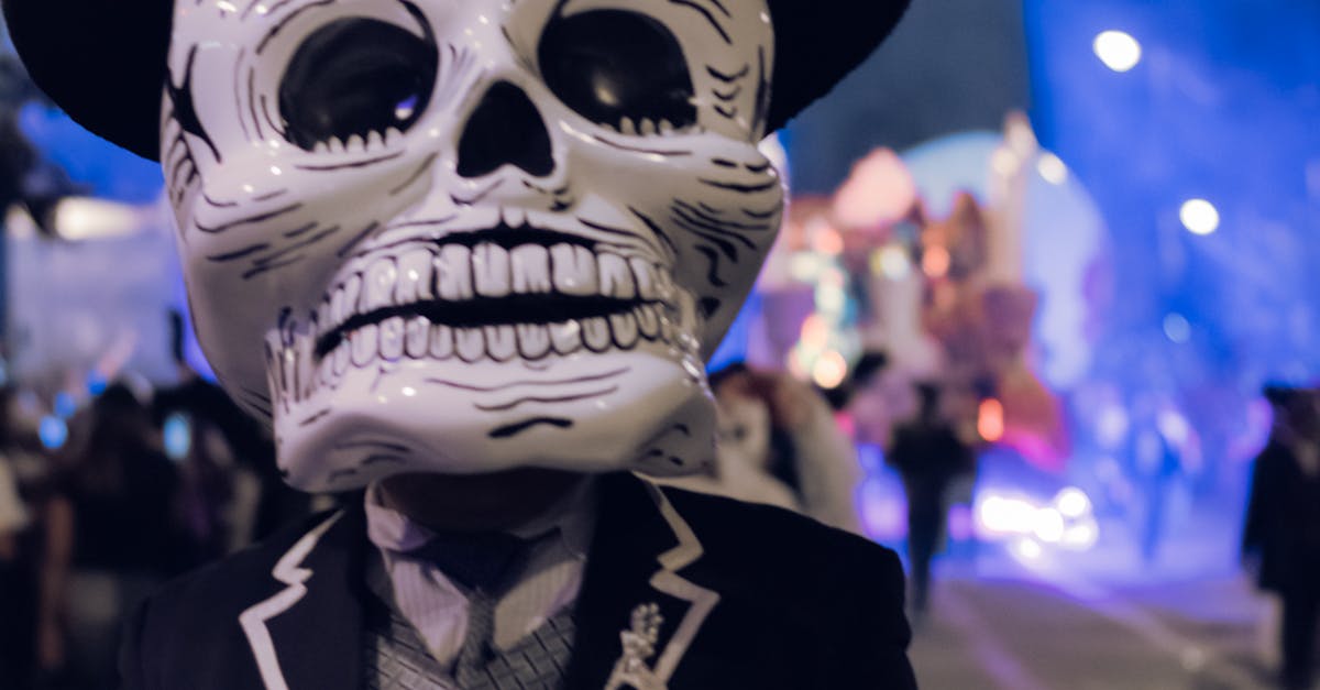 Festivalul Artelor revine cu evenimente captivante în Baia Mare