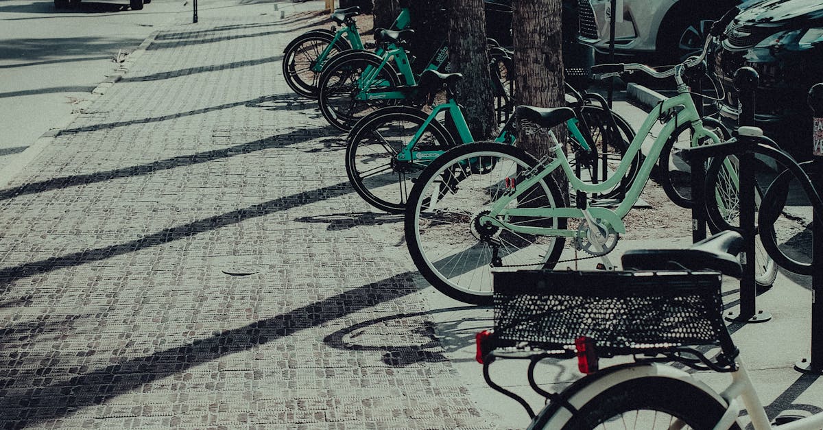 Amendă de până la 1.000 de lei pentru parcarea pe pistele de biciclete în Caransebeș