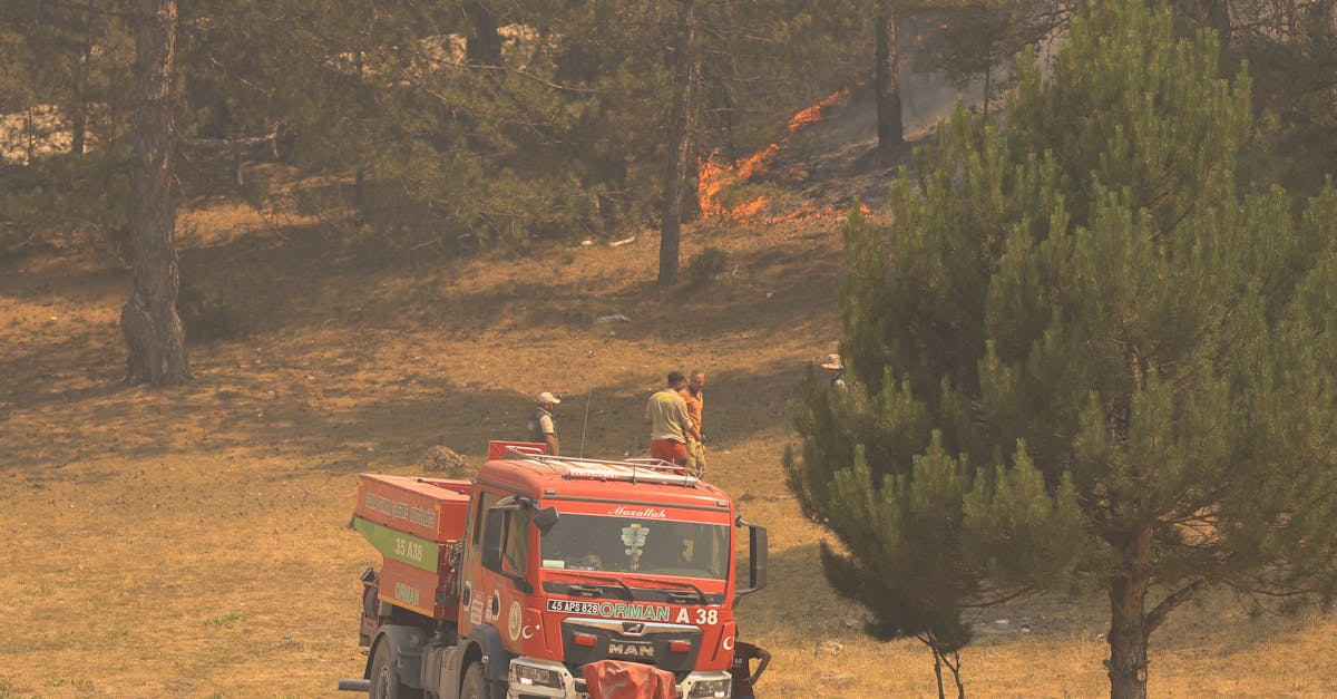 Incendiu în Peciu Nou: o țigară aprinsă provoacă panică