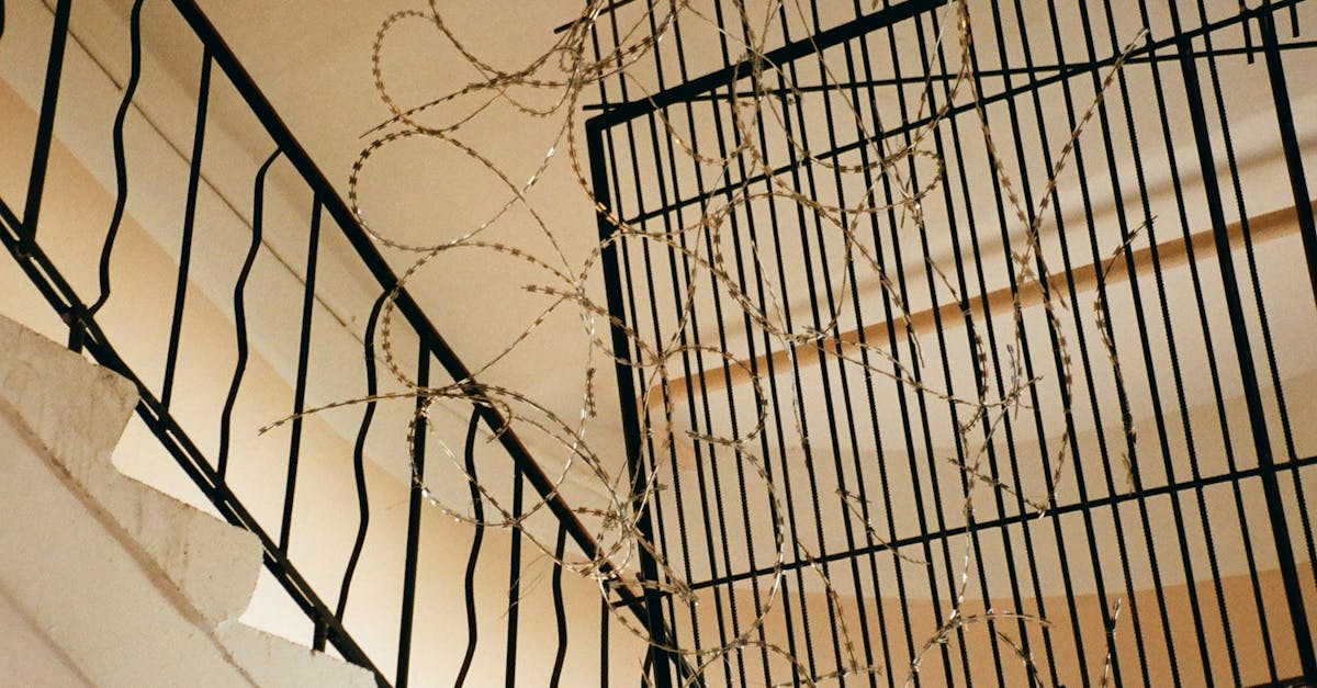 Incident de securitate la Penitenciarul Rahova: un deținut urcă într-un copac