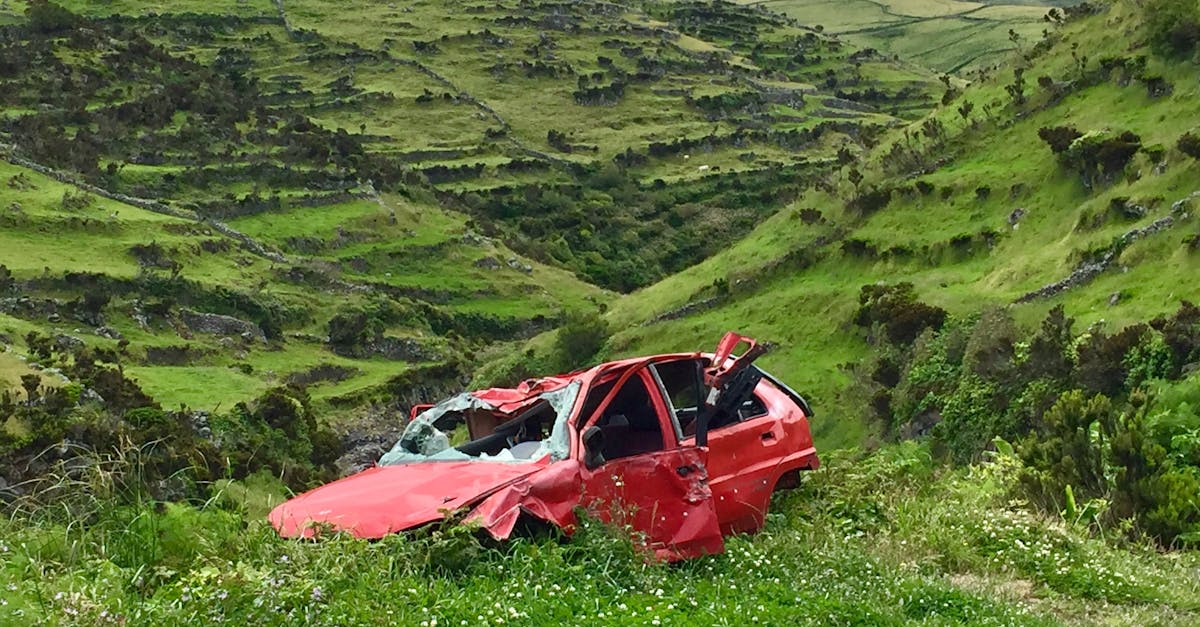 Tesla condamnata la despăgubiri de 329 de milioane de dolari după un accident tragic