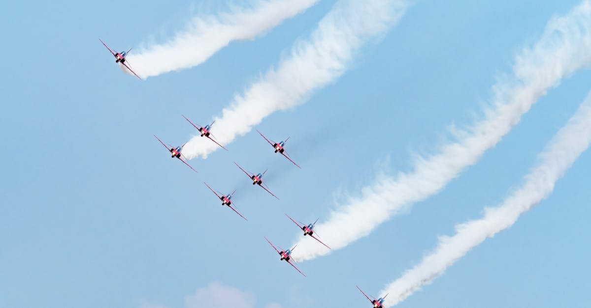 Festivalul aviatic de la Baza Aeriană Mihail Kogălniceanu aduce mândrie județului Constanța