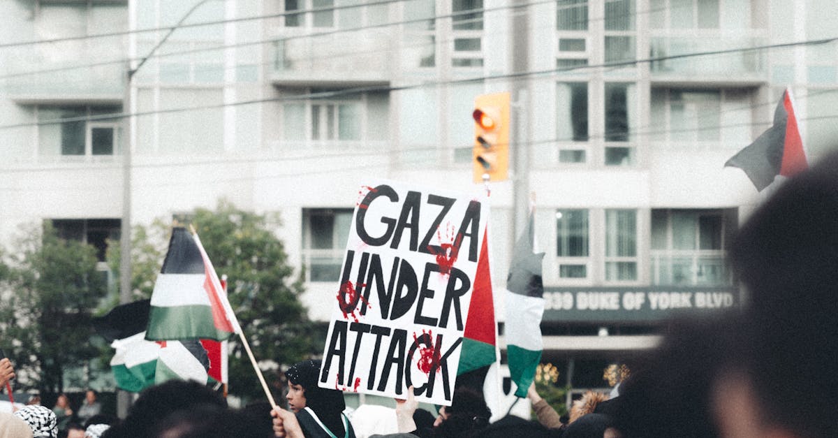 Julian Assange se alătură protestelor pro-palestiniene din Sydney
