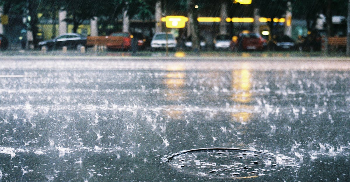 Alertă meteorologică în Timiș: furtuni și averse torențiale anunțate