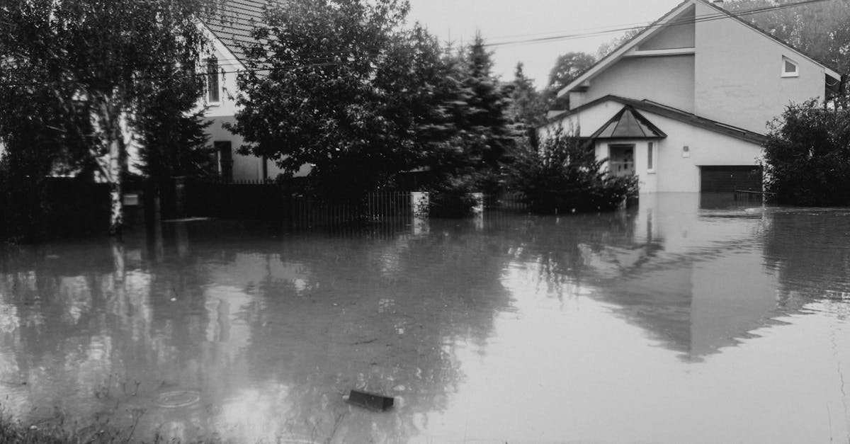 Furtuna devastatoare din Sighetu Marmației inundă gospodării și subsoluri