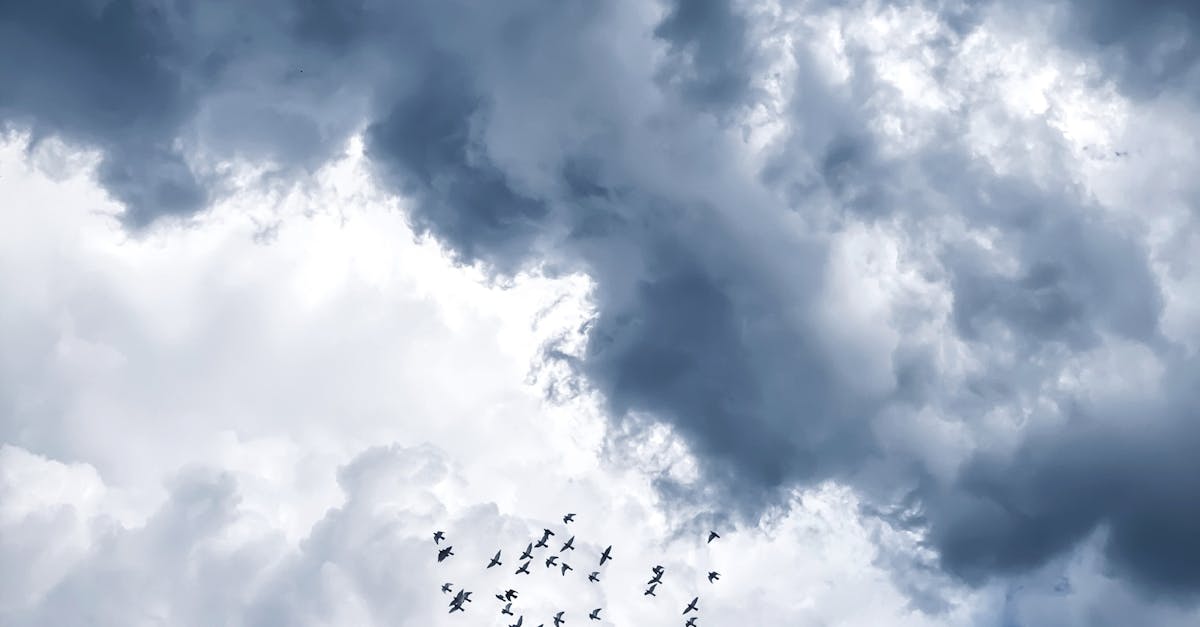 Atenționare meteo: Cod galben de ploi și vânt puternic la Sibiu