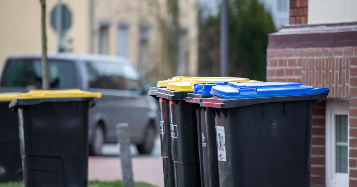 Un român din Germania admirat pentru eforturile sale ecologice